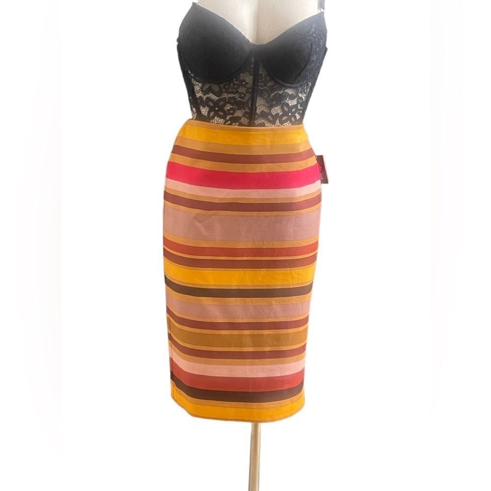 Chic Fall Vibes: NWT Lord & Taylor Burnt Orange Stripe Skirt